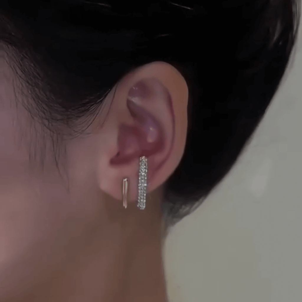 Dual Line Earrings